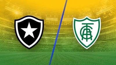 Botafogo vs. America Mineiro