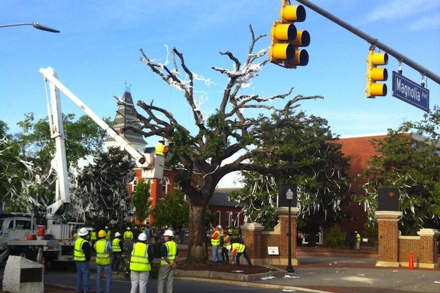 The oak trees at Toomer's Corner were removed on Tuesday. (Tim Brando/Twitter.com). (USATSI)